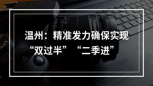 温州：精准发力确保实现“双过半”“二季进”