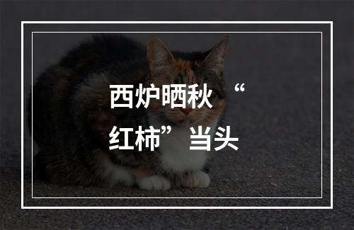 西炉晒秋 “红柿”当头
