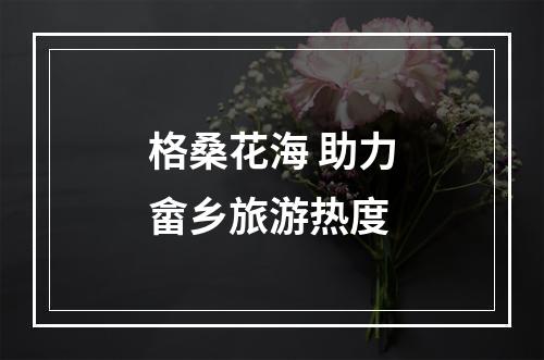 格桑花海 助力畲乡旅游热度