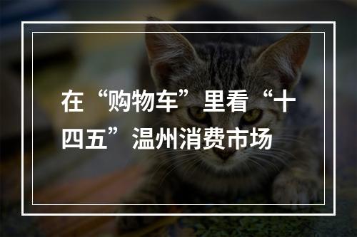 在“购物车”里看“十四五”温州消费市场