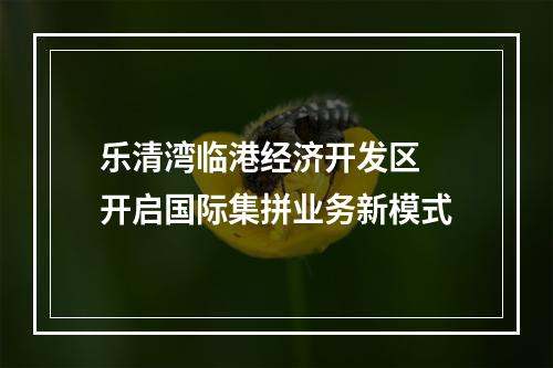 乐清湾临港经济开发区 开启国际集拼业务新模式