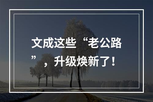 文成这些“老公路”，升级焕新了！