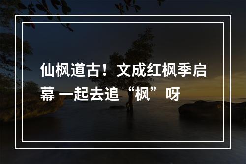 仙枫道古！文成红枫季启幕 一起去追“枫”呀