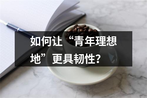 如何让“青年理想地”更具韧性？