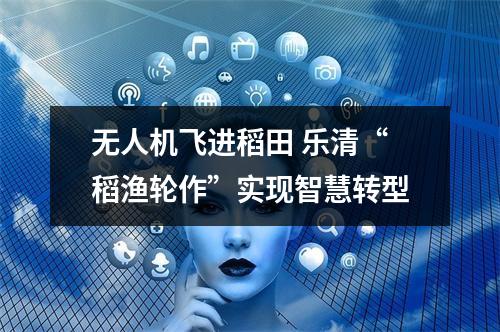 无人机飞进稻田 乐清“稻渔轮作”实现智慧转型