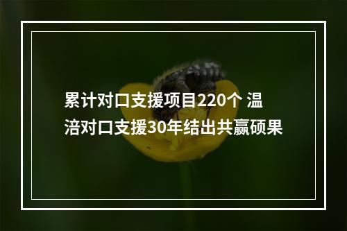 累计对口支援项目220个 温涪对口支援30年结出共赢硕果