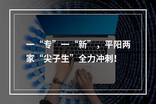 一“专”一“新”，平阳两家“尖子生”全力冲刺！