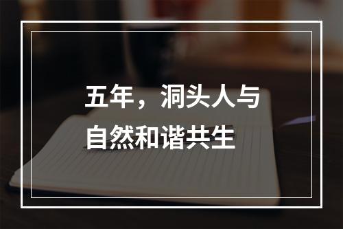 五年，洞头人与自然和谐共生