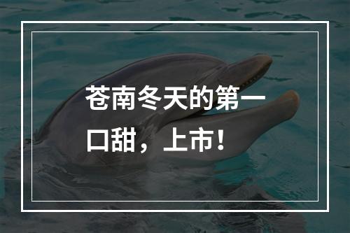 苍南冬天的第一口甜，上市！