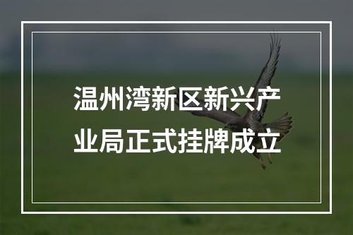 温州湾新区新兴产业局正式挂牌成立