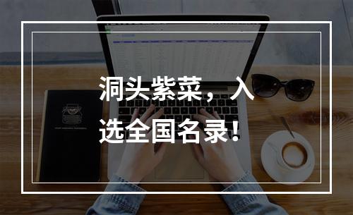 洞头紫菜，入选全国名录！
