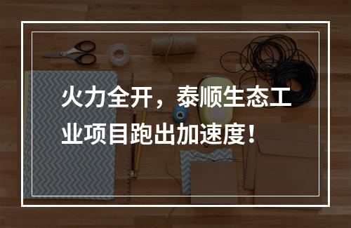 火力全开，泰顺生态工业项目跑出加速度！