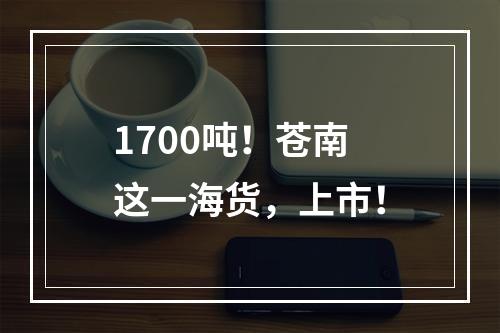 1700吨！苍南这一海货，上市！