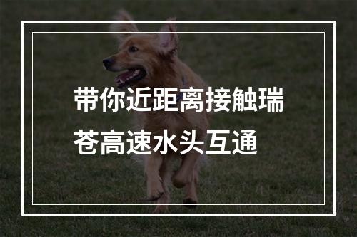 带你近距离接触瑞苍高速水头互通