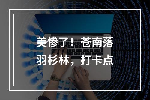 美惨了！苍南落羽杉林，打卡点