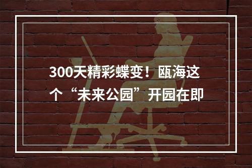 300天精彩蝶变！瓯海这个“未来公园”开园在即