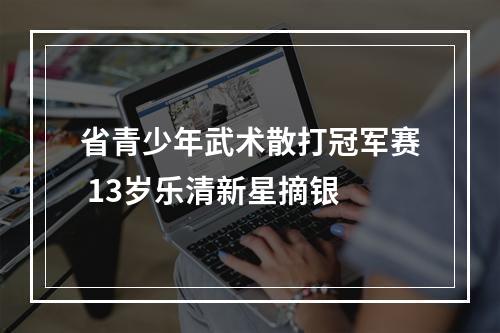 省青少年武术散打冠军赛 13岁乐清新星摘银