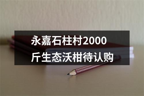 永嘉石柱村2000斤生态沃柑待认购
