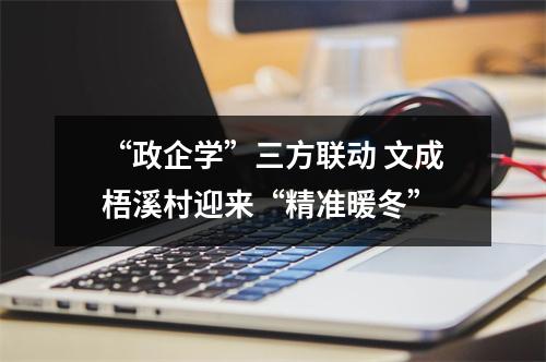 “政企学”三方联动 文成梧溪村迎来“精准暖冬”