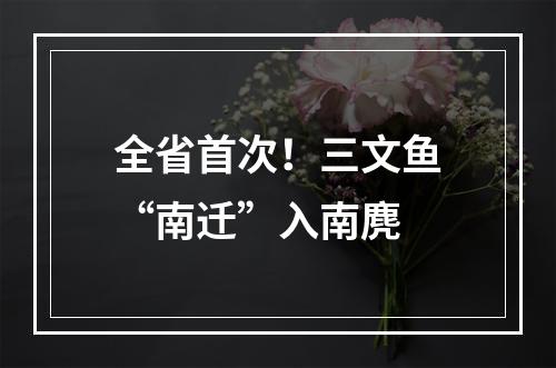全省首次！三文鱼“南迁”入南麂
