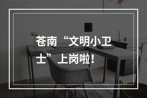 苍南“文明小卫士”上岗啦！