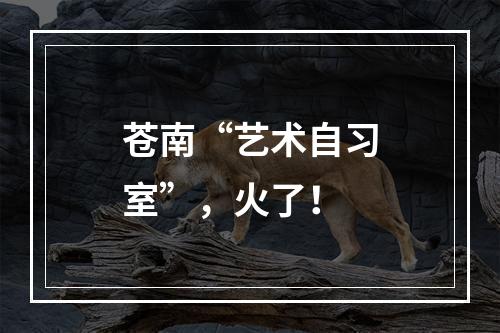 苍南“艺术自习室”，火了！