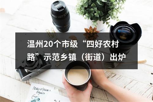 温州20个市级“四好农村路”示范乡镇（街道）出炉
