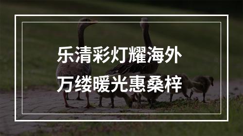 乐清彩灯耀海外 万缕暖光惠桑梓