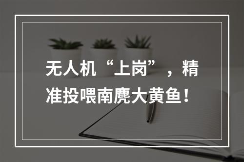 无人机“上岗”，精准投喂南麂大黄鱼！