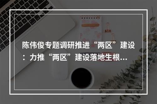 陈伟俊专题调研推进“两区”建设：力推“两区”建设落地生根 再掀创新创业澎湃热潮