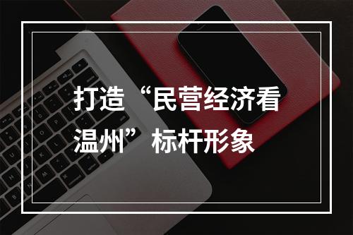 打造“民营经济看温州”标杆形象