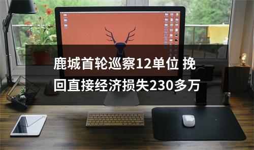 鹿城首轮巡察12单位 挽回直接经济损失230多万