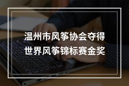 温州市风筝协会夺得世界风筝锦标赛金奖