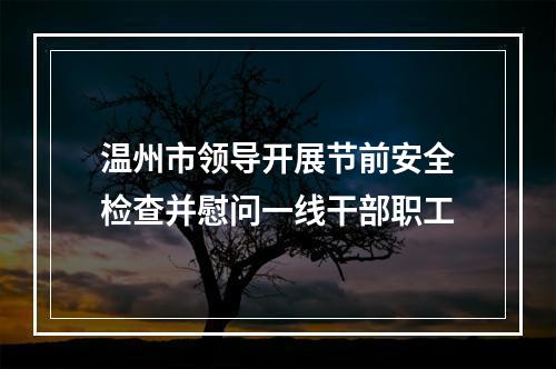 温州市领导开展节前安全检查并慰问一线干部职工