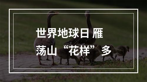 世界地球日 雁荡山“花样”多