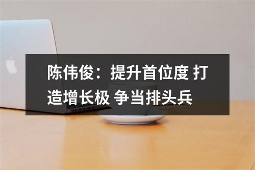 陈伟俊：提升首位度 打造增长极 争当排头兵
