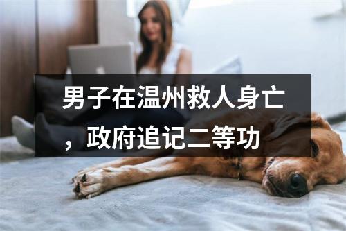 男子在温州救人身亡，政府追记二等功