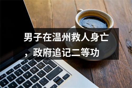 男子在温州救人身亡，政府追记二等功