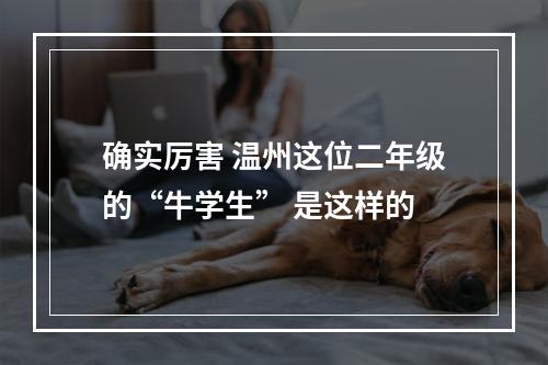 确实厉害 温州这位二年级的“牛学生” 是这样的
