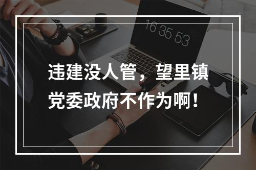违建没人管，望里镇党委政府不作为啊！