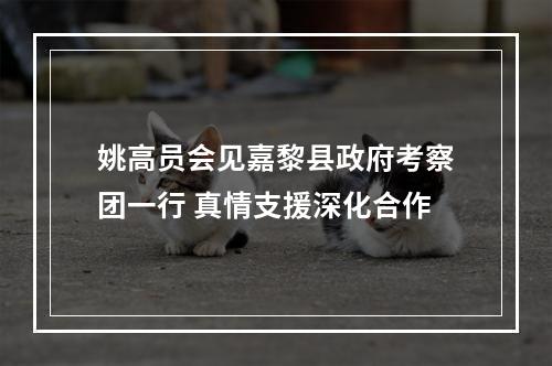 姚高员会见嘉黎县政府考察团一行 真情支援深化合作