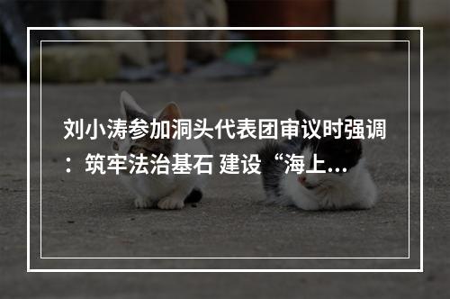 刘小涛参加洞头代表团审议时强调：筑牢法治基石 建设“海上花园”