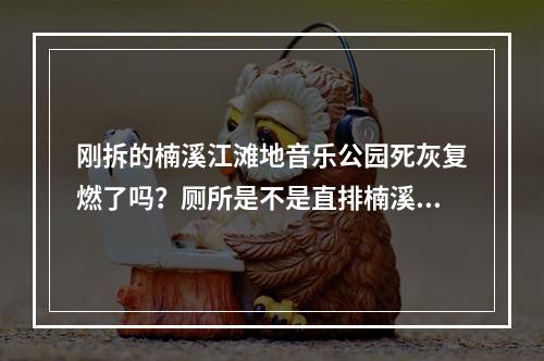 刚拆的楠溪江滩地音乐公园死灰复燃了吗？厕所是不是直排楠溪江？