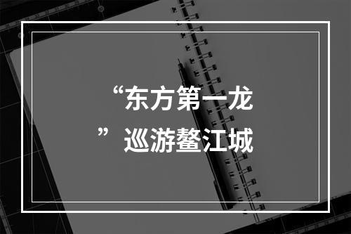 “东方第一龙”巡游鳌江城
