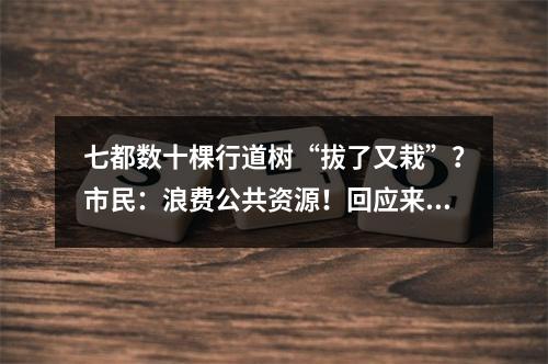 七都数十棵行道树“拔了又栽”？市民：浪费公共资源！回应来了…
