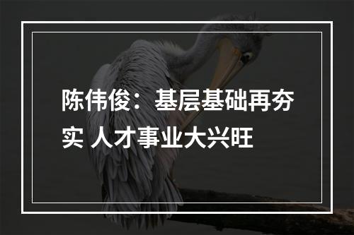 陈伟俊：基层基础再夯实 人才事业大兴旺
