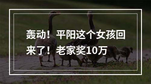 轰动！平阳这个女孩回来了！老家奖10万