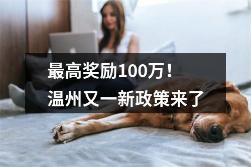 最高奖励100万！温州又一新政策来了