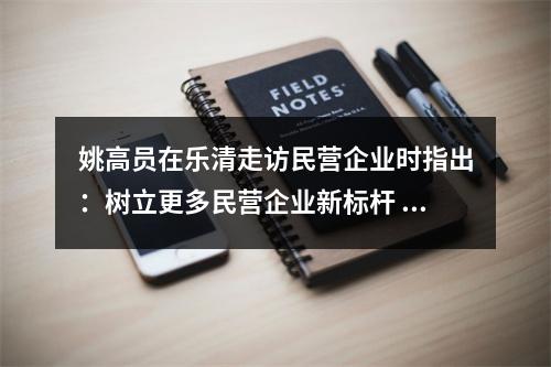 姚高员在乐清走访民营企业时指出：树立更多民营企业新标杆 推动民营经济高质量发展