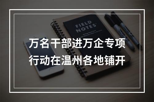 万名干部进万企专项行动在温州各地铺开